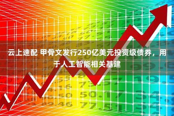 云上速配 甲骨文发行250亿美元投资级债券，用于人工智能相关基建