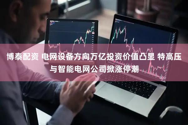博泰配资 电网设备方向万亿投资价值凸显 特高压与智能电网公司掀涨停潮