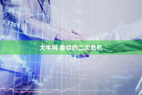 大牛网 喜综的二次危机