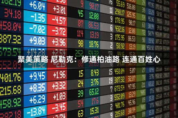 聚美策略 尼勒克:修通柏油路 连通百姓心