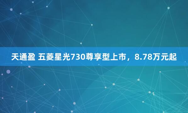 天通盈 五菱星光730尊享型上市，8.78万元起